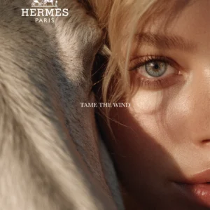 best Hermes clothing and horse legacy